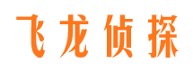 丁青侦探公司